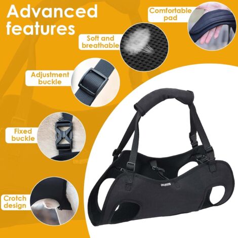 Harnais De Levage Pour Chien - Soutien Pattes Arrière Et Hanches - Ajustable, Respirant - Pour Chiens âgés Ou Handicapés