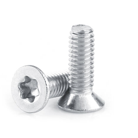 Vis M2.5 Acier Inoxydable 304 à Tête Plate Étoile (M2.5×8) (1/2)