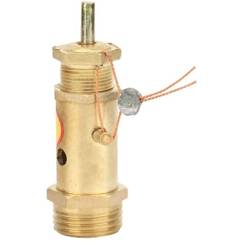 Soupape de sécurité pour compresseur à air G1/2 en laiton pour générateur de vapeur/chaudière (10KG)