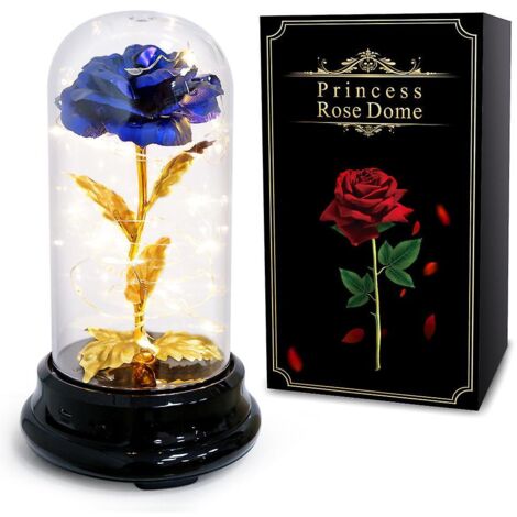 Coffret cadeau de roses fraîches stabilisées, fait main, avec lumière LED, idéal pour un anniversaire, la fête des mères, la Saint-Valentin ou un anniversaire de mariage. Parfait pour les filles et le (1/5)