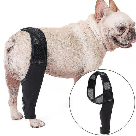 Genouillère ajustable pour chien (ligament croisé antérieur, luxation du genou, arthrite) - Offre un soutien supplémentaire, réduit la douleur et l'inflammation - Maintient les articulations au chaud (1/4)