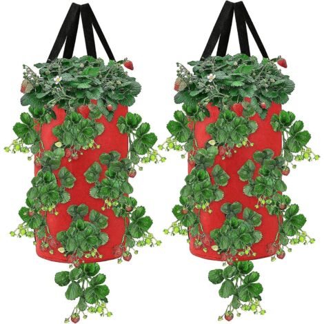 Sacs de plantation en tissu rouge avec poignées, capacité de 10 gallons, lot de 2 (1/5)