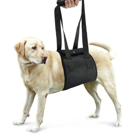 Harnais de soutien pour la rééducation canine des chiens souffrant de faiblesse des pattes arrière (1/5)