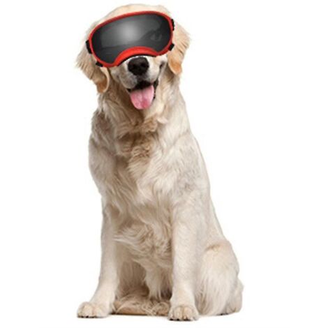 Lunettes de protection UV réglables pour animaux de compagnie, adaptées aux chiens de taille moyenne à grande. (1/3)