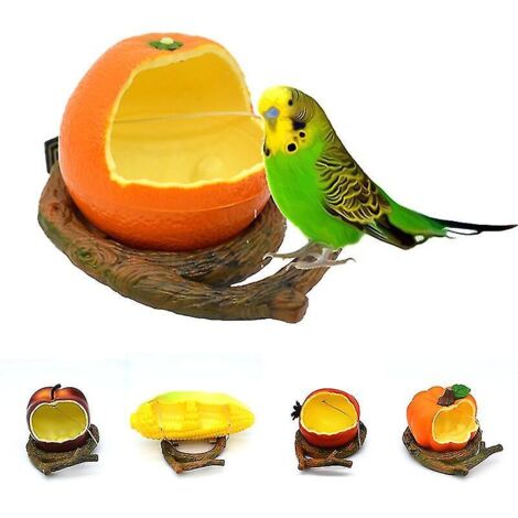 Mangeoire à oiseaux en plastique en forme de fruit, mignonne et suspendue, pour perroquet. (1/4)