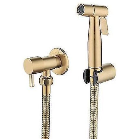 Kit de douchette bidet en acier inoxydable pour toilettes, douchette manuelle pour WC (1/5)