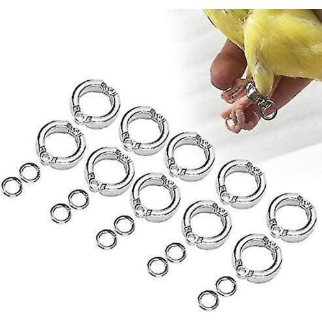 10 anneaux pour pattes d'oiseau en métal, anneaux pour pattes de perroquet d'extérieur (1/5)