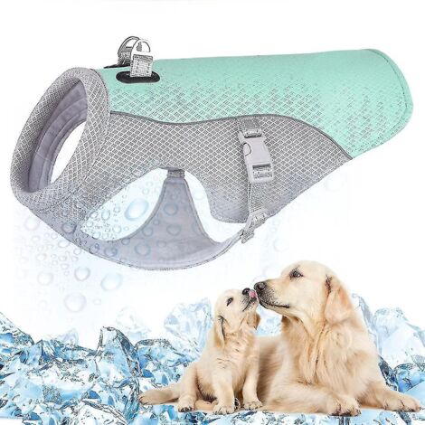 Gilet rafraîchissant pour chien, vêtement d'été ajustable, veste rafraîchissante pour chien idéale pour la randonnée, les promenades et le camping en extérieur - L - Bleu (1/5)