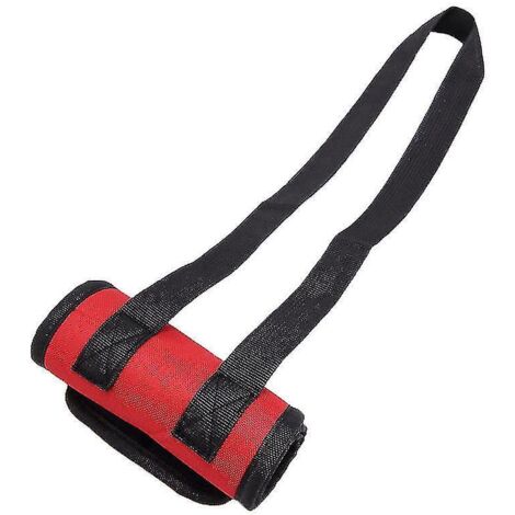 Harnais de soutien pour pattes arrière pour chiens âgés à mobilité réduite - Taille M (1/3)