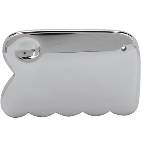 Plaque de Gua Sha en Térahertz pour Raffermissement du Visage et Massage des Bras et Jambes (1/5)