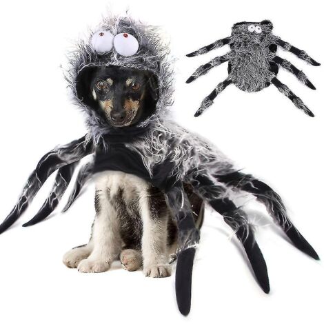 Déguisement d'Halloween pour chiot/chiot araignée - Cape/manteau - Taille 2XL (1/5)