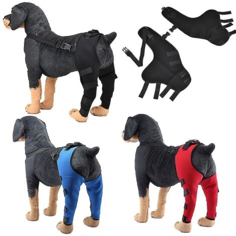 Coussinets de protection pour coudes et pattes arrière de chien, genouillère réglable, support de patte - Taille XS - Rouge (1/5)