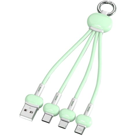 Câble USB, chargeur rapide portable 3 en 1 avec ports USB Type-C, Micro USB et IP, connecteur FoGreen (1/5)