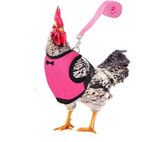 Harnais et laisse pour poussins, canards et oies - Rose M (1/3)