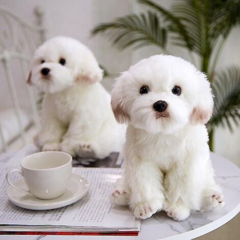 Peluche Chiot Maltais Blanc, Chien en Peluche Mignon, Animal de Compagnie Kaw (1/5)