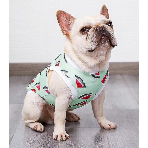 Harnais rafraîchissant pour chien, gilet respirant et frais pour animaux de compagnie, veste respirante en maille pour chiens de petite, moyenne et grande taille, idéale pour les promenades et randonn (1/5)
