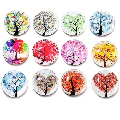 12 aimants pour réfrigérateur, aimants en verre, autocollants pour réfrigérateur, aimants de bureau, aimants pour tableau blanc pour la cuisine, la maison et le bureau (assortiment) (1/5)