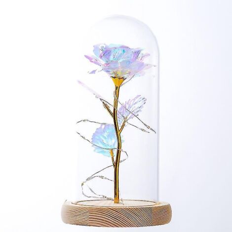 Rose éternelle de La Belle et la Bête, Rose infinie sous dôme de verre, Lumière LED éternelle (1/4)