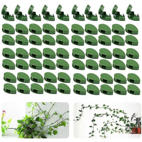 Lot de 70 fixations murales pour plantes grimpantes - Pour jardin, maison, bureau (1/5)