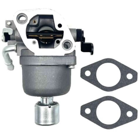 Carburateur de remplacement pour moto 697722, compatible avec Briggs & Stratton (1/5)