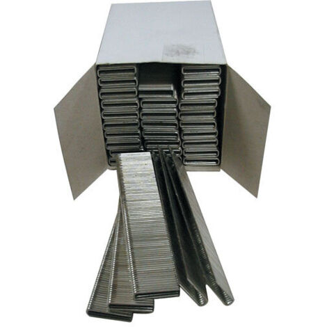 Agrafes 22 mm - lot 2500 pièces - pour G40220 - G40221 - G58411 (1/2)