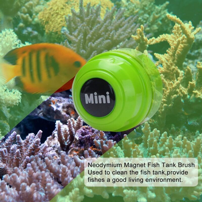 Nettoyeur Magnétique Pour Aquarium – Aimants Terres Rares, Pour Verre Jusqu’à 10 Mm, Petite Taille - 5