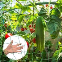 Konekel Filet Pour Plantes Grimpantes 2m X 10m - Treillis Jardin Pour Tomates Concombres Avec Mailles 10cm Et 50 Attaches