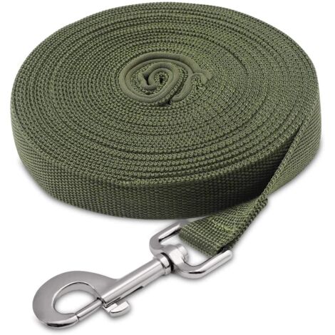 BEBUSINGOTO Laisse pour Chien, Laisse de Dressage Chien avec Poignée Longe Chien Longue Sangle en Nylon Mains Libre pour Petits à Grands Chiens Animal de Compagnie Promenade Jogging 10m2.5cm (Vert) (1/5)