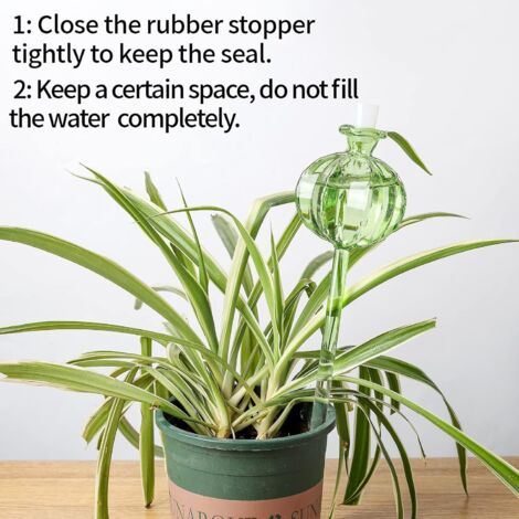 Insert De Jardinière À Arrosage Automatique, Pointes D'Insertion De