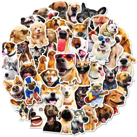 BEBUSINGOTO 50pcs autocollants en vinyle imperméables pour chien (1/5)