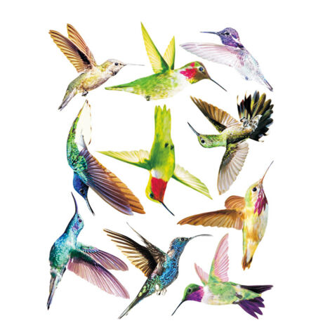 BEBUSINGOTO Lot de 2 autocollants oiseaux - Autocollants statiques repositionnables - Protège contre les chocs d'oiseaux et les chocs sur les vitres - Impression haute résolution - Résistant à l'eau (1/5)