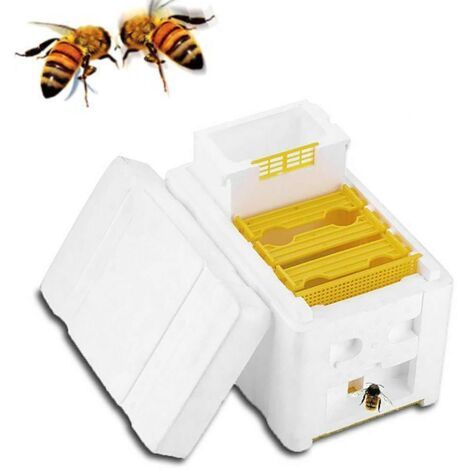 BEBUSINGOTO Outils d'apiculture boîte d'accouplement d'abeille boîte d'élevage en mousse boîte de pollinisation boîte d'élevage double couche (1/5)