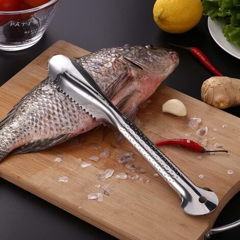 Extracteur D'écailles De Poisson - Grattoir En Acier Inoxydable Avec Design Râpe à Gingembre - Outil De Cuisine Pour écailler Rapidement Et Facilement