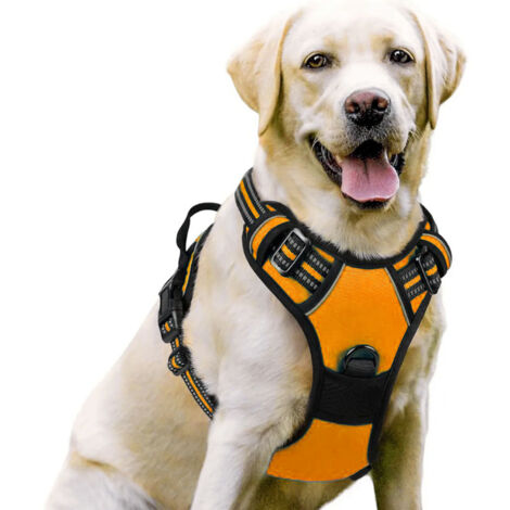 BEBUSINGOTO Orange, Harnais Chien, Harnais Anti Taraction pour Chien Réfléchissant Réglable, Facile à Mettre, avec Poignée Contrôle, Arnet pour Chien Respirant, Durable, Harnais pour Chien Moyen et G (1/5)