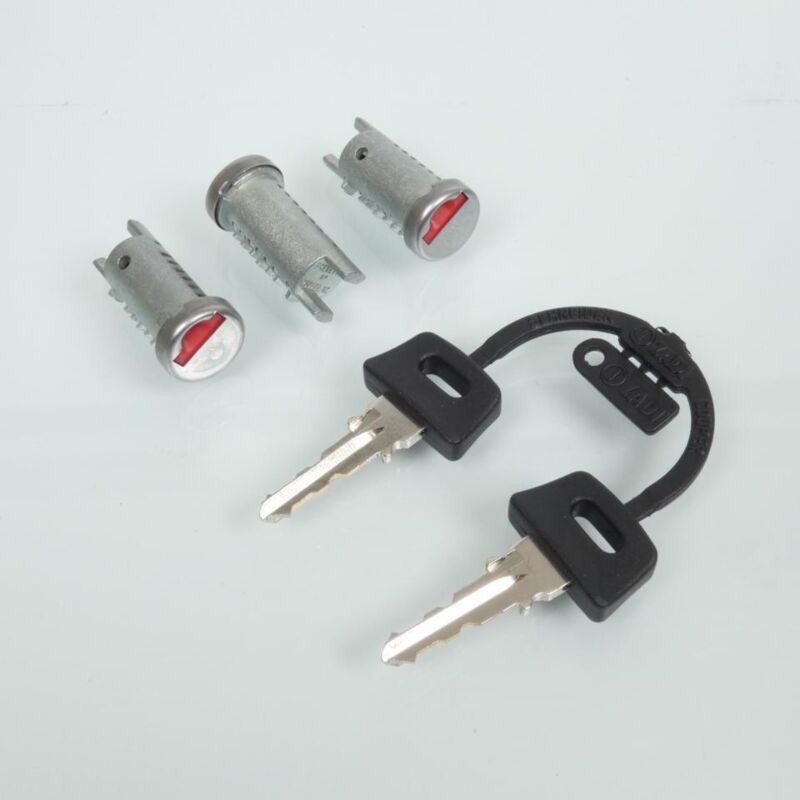 P2R (MotorisÃ)©) Barillet A CLE Scoot Adaptable Piaggio 50 Zip 1995>2005, Typhoon 2006>2009 (Ã˜ 13mm) (Vendu Par 2 Pieces) -P2R