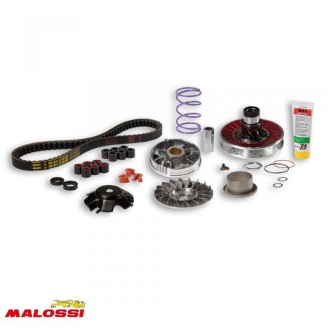 Variateur Malossi pour Scooter Piaggio 50 Typhoon Après 1999
