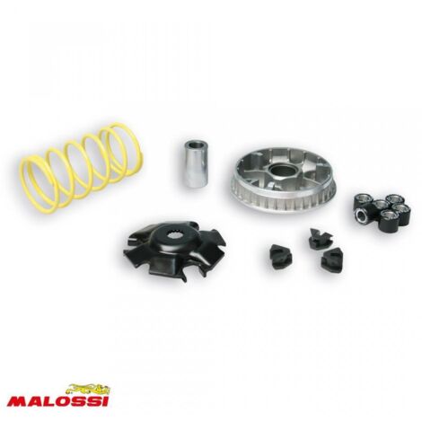 Variateur Malossi pour Scooter Yamaha 125 BWS Après 2010 5112701 (1/2)