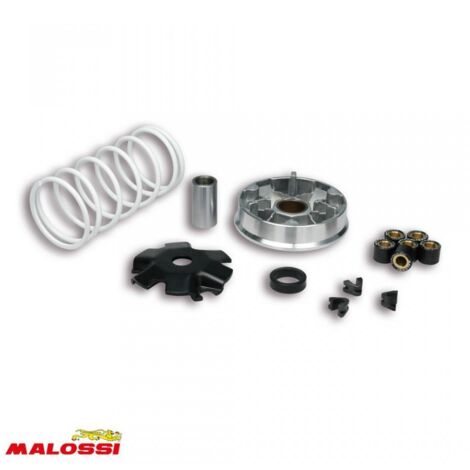 Variateur Malossi pour Scooter Kymco 50 Agility 2T R16 KF10B / 51 (1/3)