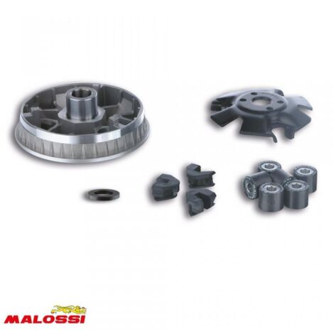Variateur Malossi pour Scooter Peugeot 125 Jet force 5113365 / (1/2)