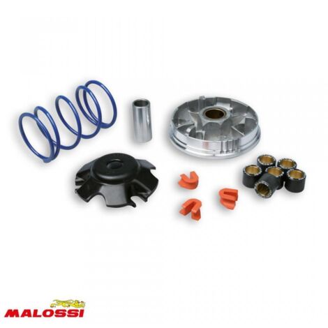 Variateur Malossi pour Scooter Peugeot 100 Trekker 5111127 / (1/2)