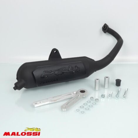 Pot d échappement Malossi pour Scooter Derbi 50 Variant Sport (1/4)