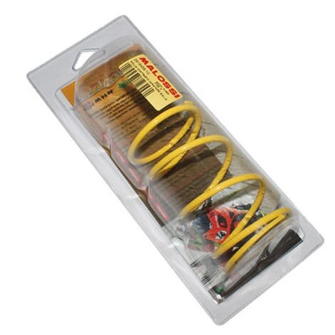 Ressort d embrayage Malossi pour Scooter Aprilia 125 Atlantic (1/5)