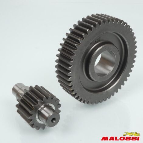 Pont arrière de transmission Malossi pour Scooter Piaggio 125 (1/2)