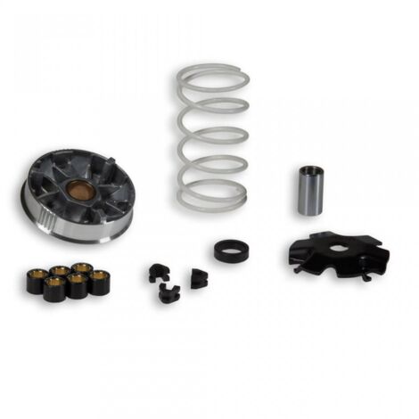 Variateur Malossi pour Scooter Sym 50 DD 51 7484 / Multivar Neuf (1/4)