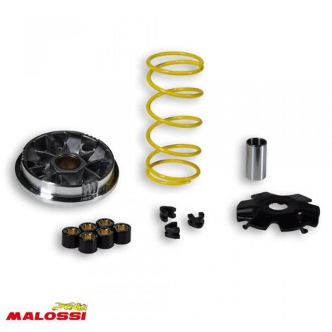 Variateur Malossi pour Scooter Malaguti 100 Ciak 5111327 / (1/2)
