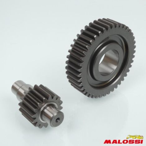 Pont arrière de transmission Malossi pour Scooter Gilera 125 (1/2)
