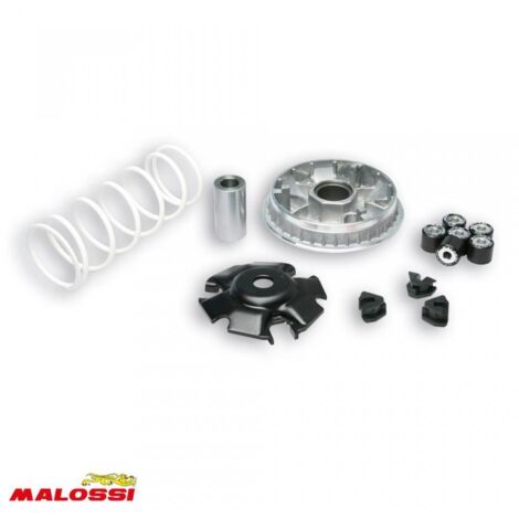 Variateur Malossi pour Scooter Daelim 125 SL Après 2003 Neuf (1/2)