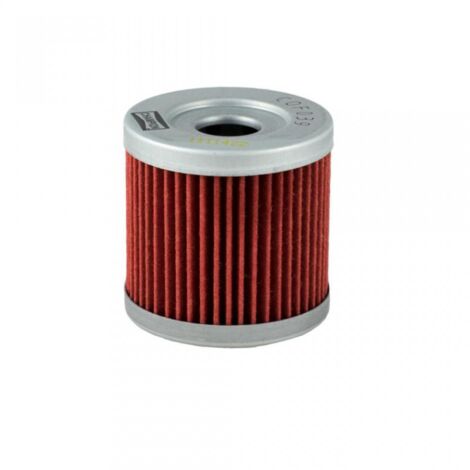 Filtre à huile Champion pour Moto Suzuki 400 Dr-Z Sm 2005 à 2009 (1/3)