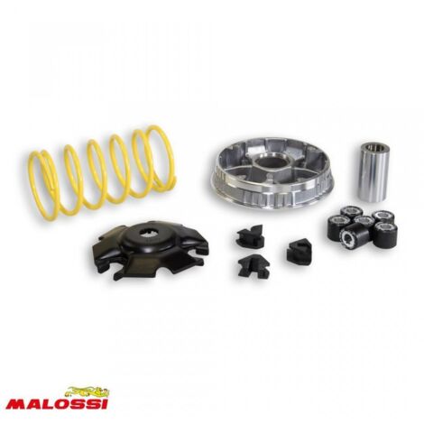 Variateur Malossi pour Scooter MBK 125 Flame Après 1997 5111567 / (1/2)