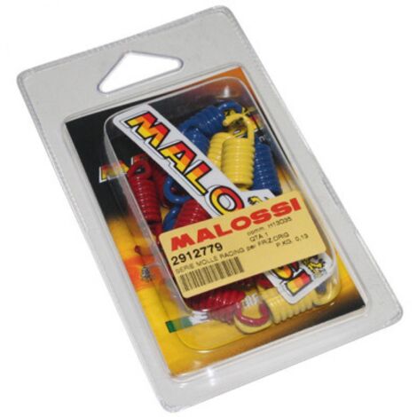 Ressort d embrayage Malossi pour Scooter Kymco 125 K-Xct I Abs (1/3)